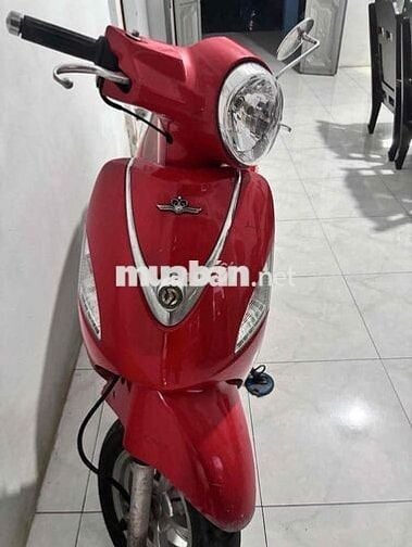 Bán Xe Elizabeth 2014