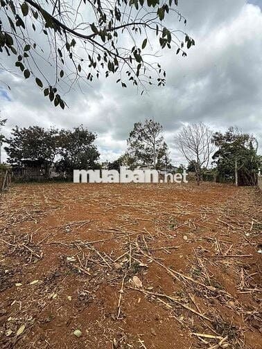 Đất Full hồng mặt tiền dài gần QL 14 P Buôn Hồ giá rẻ