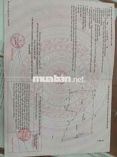 3ha đất SKC 50 năm đóng thuế 1 lần, Thanh tuyền, dầu tiếng (40 tỷ)