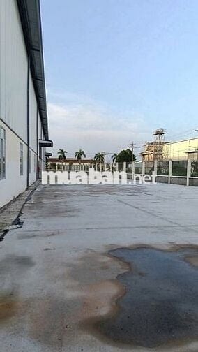 Cho thuê kho xưởng KCN Hải Sơn, Tân Đô, Tân Đức, Long An, PCCC tự động