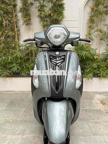 grander 2019 FI bs thành phố chính chủ kí