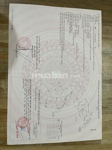 Bán nhà Miễu Ba, TT Cần Thạnh, Cần Giờ, tp. HCM