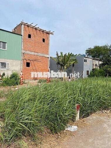 LÔ ĐẤT ĐẸP THỔ CƯ 100% SH RIÊNG TRUNG TÂM ẤP 4, XÃ CẦN GIUỘC, TÂY NINH