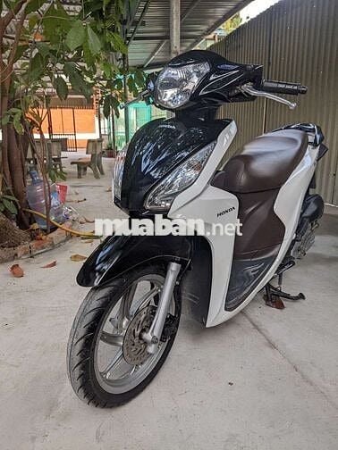 Honda Vision Trắng