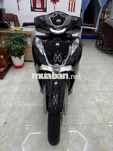 Bán xe SH 125 2024