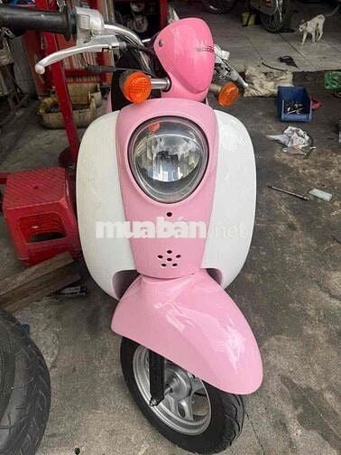 Scoopy 50cc Nội Địa Nhật