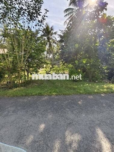 💥đất lộ nhựa  ngang 12m dài hơn 100m2 có 150 đất ở 👇