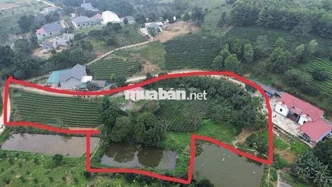 LÔ ĐẤT NGHỈ DƯỠNG, BIỆT THỰ, HÒA BÌNH 3600m2 - GIÁ ĐẦU TƯ-CÁCH HN 50KM