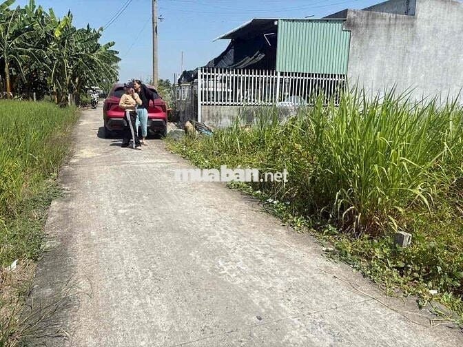 cần bán đất thổ tại Lạc Tấn, Tân Trụ, Long An dt 157,6m2 nền cao