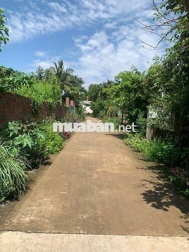 Đất 2 Mặt Tiền, gần tỉnh lộ 767, Ấp 6, Vĩnh Tân, Vĩnh Cửu, Đồng Nai