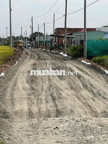 ⭐️ 5x27m thổ, mặt tiền đường bê tông 6m. Đất nền sẵn