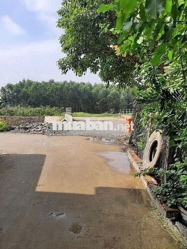 BÁN ĐẤT NỀN KHU TÁI ĐỊNH CƯ BÌNH HÒA – Giá 760 triệu–Sổ riêng 80m2 ONT