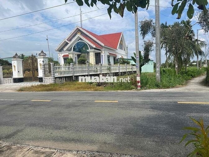 BÁN GẤP GIẢM 200 TRIỆU - 500m2  TH Ổ CƯ -XÃ BÌNH TRINH ĐÔNG - LONG AN