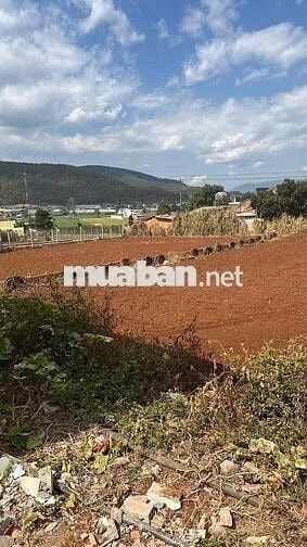 Bán đất Suối Thông B cách Đà Lạt 30km khu dân cư