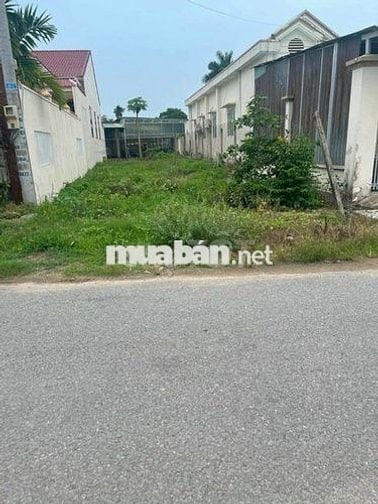 🆘CẮT LỖ 300 TRIỆU - BÁN GẤP LÔ ĐẤT TẠI NGUYỄN HỮU TRÍ TRẢ NỢ NH