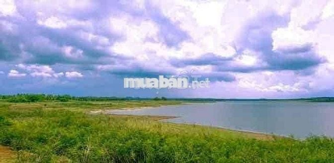 View sông Ray, 3 sào 55m đường nhựa!