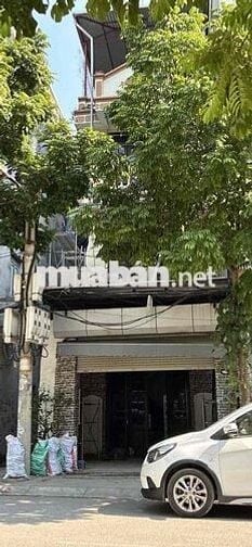cho thuê cửa hàng phố Dương Khuê