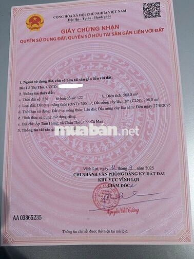 Chính chủ cần tiền bán nhanh đất xã Châu Thới, tỉnh Cà Mau, DT 508,8m2