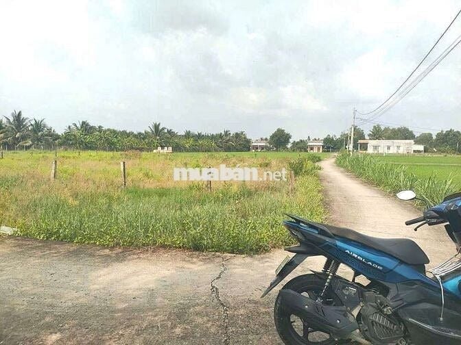 🌿🌿 CHÍNH CHỦ GỬI BÁN ĐẤT THỔ CƯ – ĐỨC TÂN, TÂN TRỤ, LONG AN