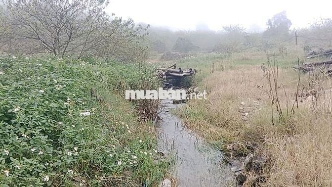 Cực hiếm ở Mộc Châu: 1,9 hecta 1 suối 4 mó nước quanhnăm 1 đồi săn mây