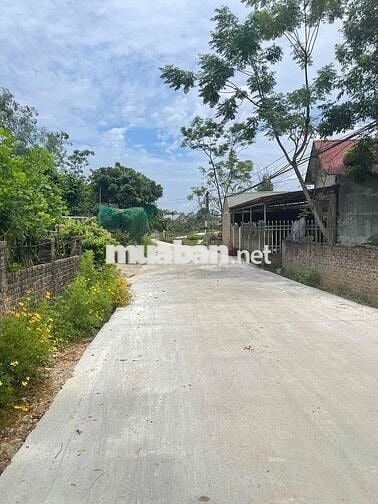 🌿 BÁN LÔ ĐẤT ĐẸP XÃ THÀNH CÔNG – GẦN TRUNG TÂM PHỔ YÊN CHỈ 5KM 🌿