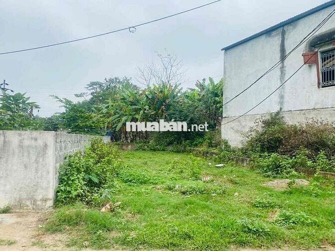 Chính chủ nhờ bán lô đất 120m full odt phường Phổ Yên