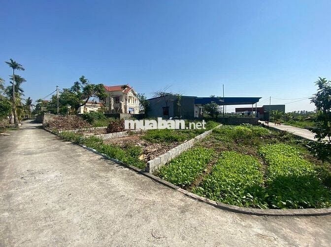 Bán đất view kênh tại Quyết Tiến Hợp Đức