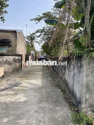 Bán đất thích hợp xây nhà vườn