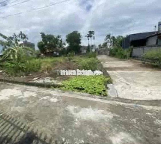 Đất 117m2 lô góc Tẩm Thượng, Việt Tiến chỉ 1,05 tỷ