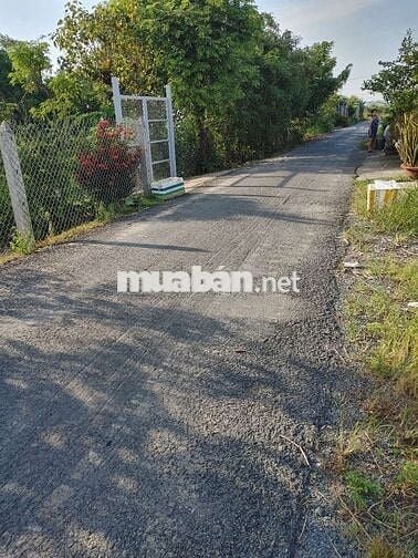 Bán đất nền thổ cư đường hai cây lim