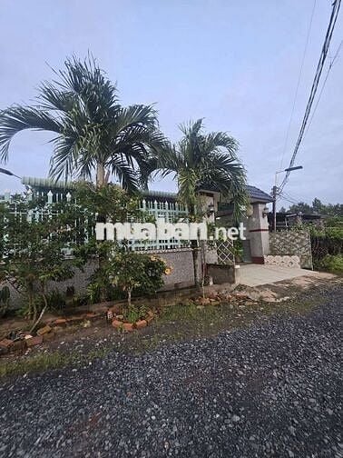 Nhà vườn gần 800m² thổ cư 100% huyện Đức huệ long an