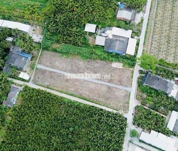 29 NỀN LIỀN KỀ, CÁCH QUẢNG TRƯỜNG MỸ THO CHỈ 500M – GIÁ CHỈ TỪ 800TR