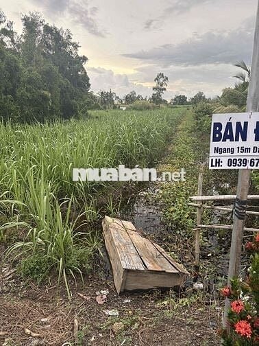 đất cây lâu năm, tiếp giáp lộ nhựa oto, cách trung tâm Búng Tàu 1km