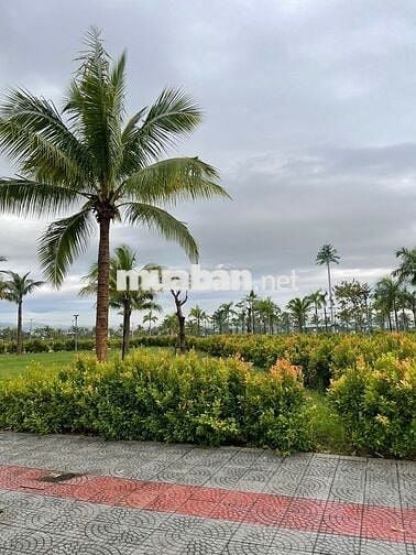 RẺ NHẤT THỊ TRƯỜNG KHU ĐẦM SEN - NAM HOÀ XUÂN