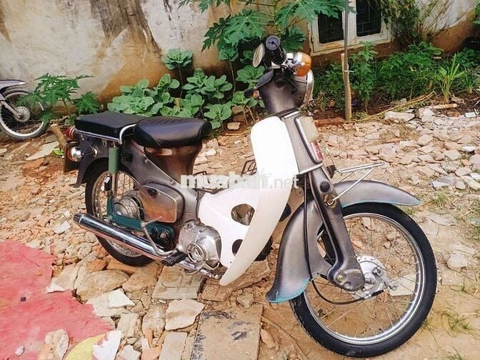 Cub 78.GTDD biển 61..