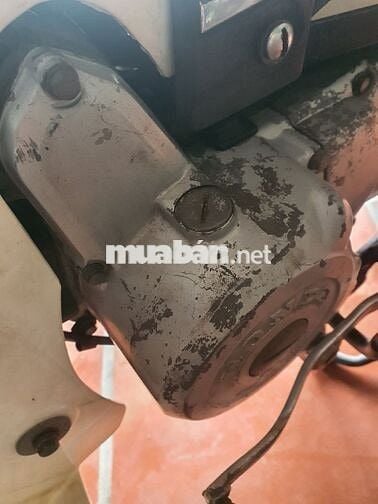 Xe dream thái biển hải dương