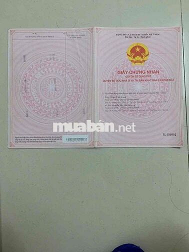 Chính chủ bán nhà Biệt Thự mini 3 tầng.