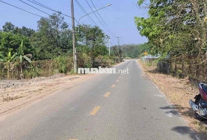 Kẹt tiền bán nhanh lô đất 116m2 290Tr ngay Trừ Văn Thố-Bàu Bàng