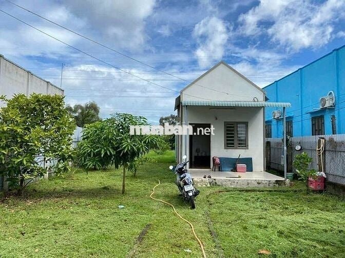 Đất vườn, 1000m2 có 100m2 thổ cư 250 triệu tại Chơn Thành, Bình Phước