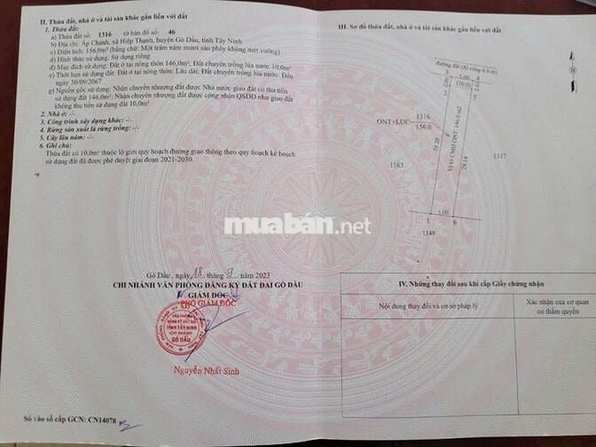 2 LÔ LIỀN KỀ. ĐƯỜNG BÊ TÔNG 5x31m FULL THỔ CƯ. CHỈ 490Tr