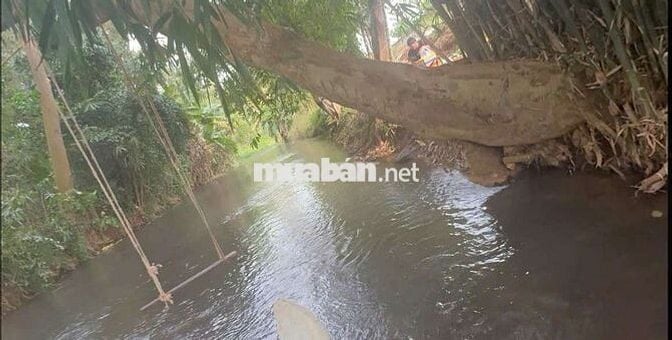 BĐS view suối nước quanh năm, hẻm ô tô, gần trường, gần chợ