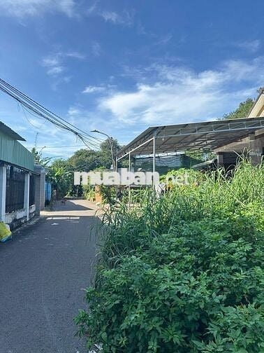 CHỦ BÁN LÔ ĐẤT LONG PHƯỚC GẦN TL52 – ĐÔNG DÂN CƯ – GIÁ CHỈ 1 TỶ 750