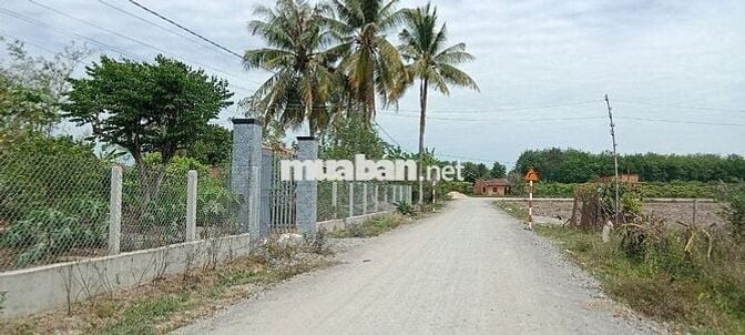 🔥 ĐẤT MẶT TIỀN ĐƯỜNG 8M – SỔ RIÊNG – GIÁ CHỈ 450 TRIỆU 🔥