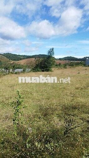 Bán đất view hồ chà môn, thôn 4 dakcam, sổ sẵn.