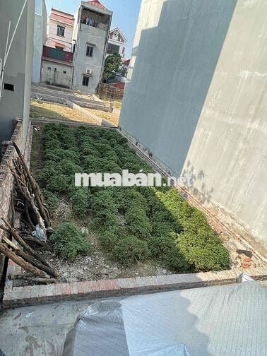 ❌ CHÍNH CHỦ CẦN TIỀN BÁN GẤP TẠI TIỀN PHONG MÊ LINH HÀ NỘI