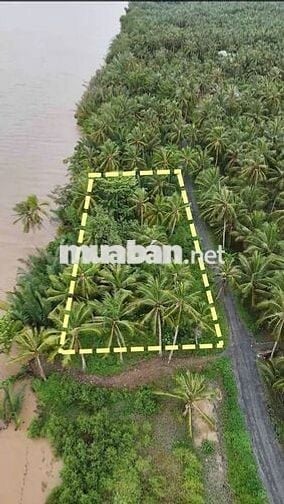 ĐẤT SÁT SÔNG MEKONG GIÁ RẺ  💵 399 triệu / 1,178m2