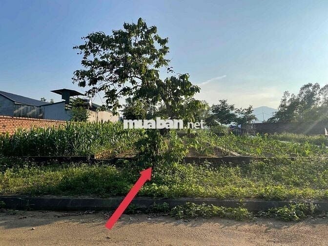 CC CẦN TIỀN LÀM NHÀ BÁN ĐẤT TÁI ĐỊNH CƯ VAI RÉO HOÀ LẠC ĐÓN SÓNG METRO