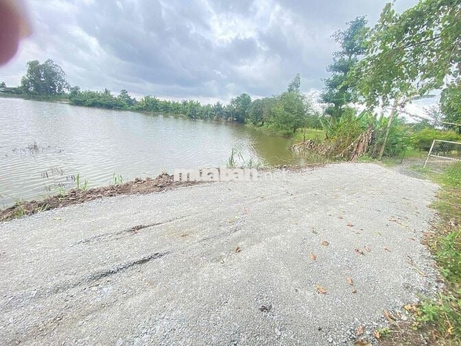 ĐẤT RUỘNG ĐƯỜNG ĐÁ MI 519m2 PHƯỜNG BÌNH ĐỨC MỚI