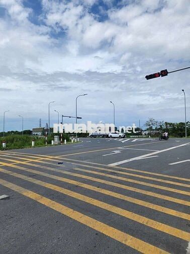 Bán đất Lua mặt tiền đường tránh phường Mỹ Hòa, Long Xuyên, dt 1500m2