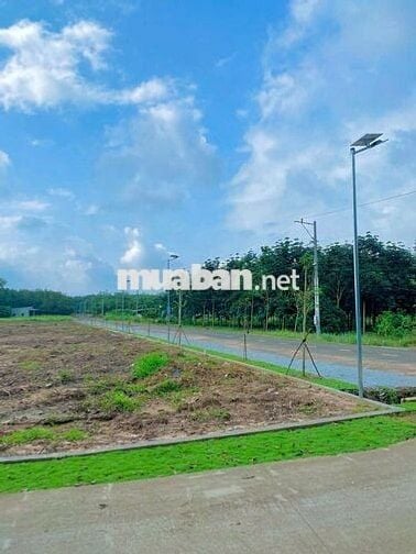 Bán lô đất sẵn thổ cư, mặt tiền đường nhựa lớn.